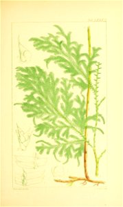 n350_w1150