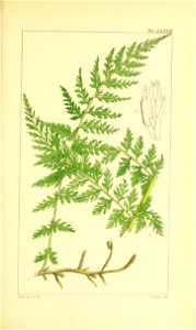 n164_w1150