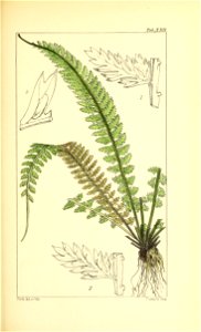 n104_w1150