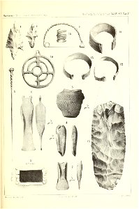 n204_w1150