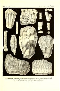 n46_w1150