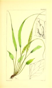 n156_w1150