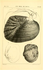 n524_w1150