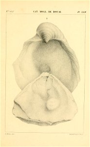 n494_w1150