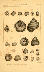 n464_w1150