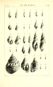 n434_w1150