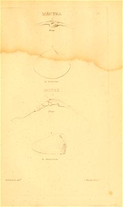 n284_w1150