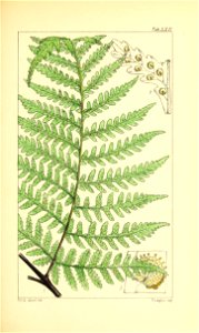 n218_w1150