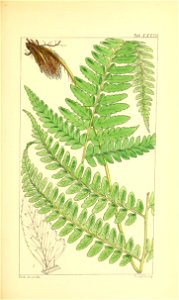 n148_w1150