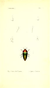n262_w1150