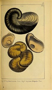 n168_w1150