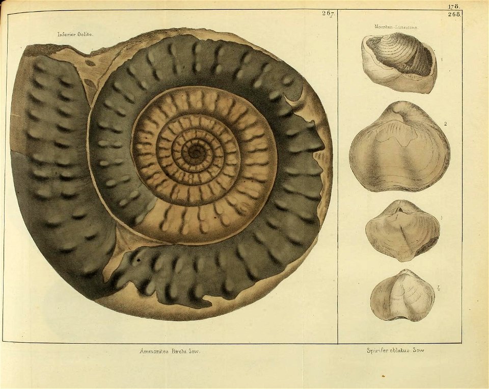n406_w1150