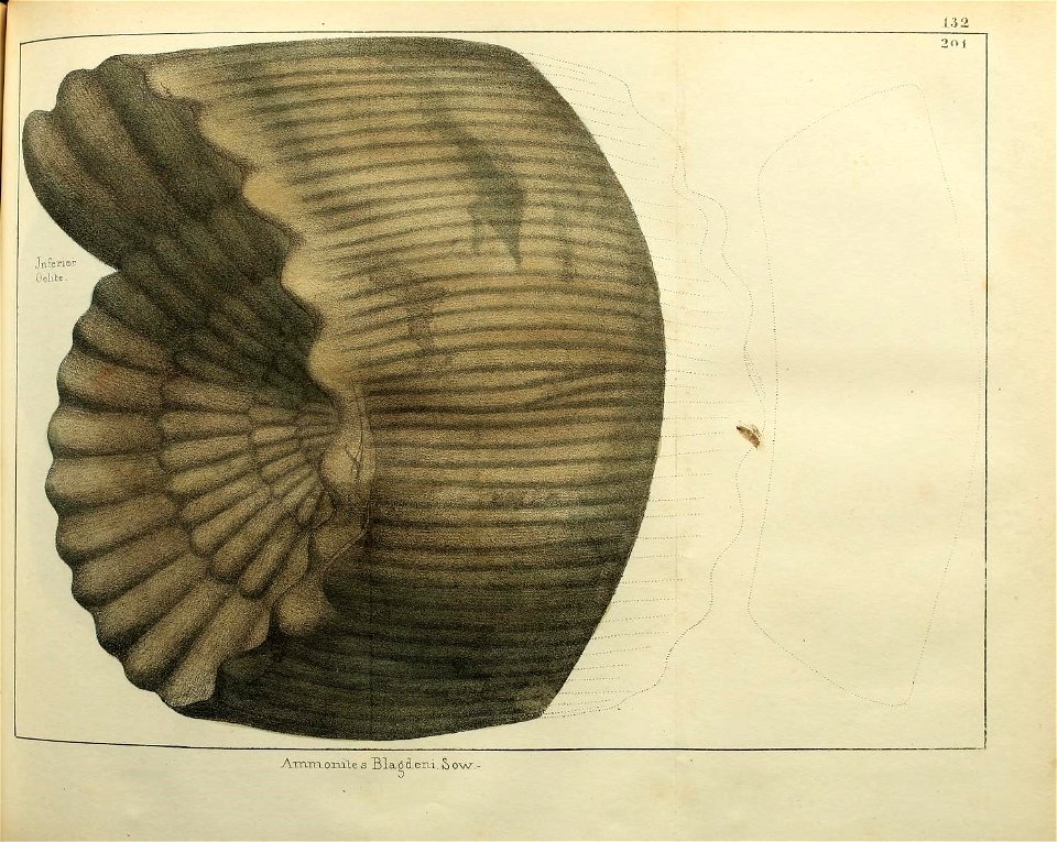 n302_w1150