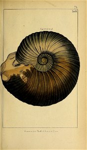 n162_w1150