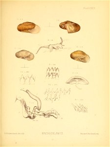 n120_w1150