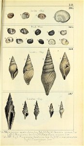 n566_w1150
