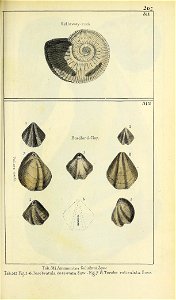 n468_w1150