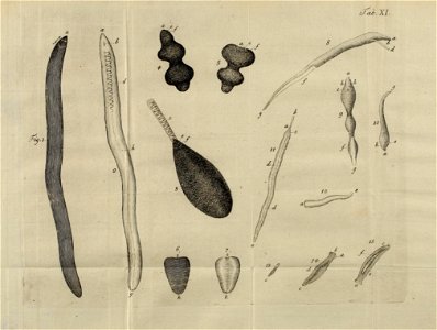 n576_w1150
