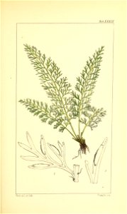 n172_w1150