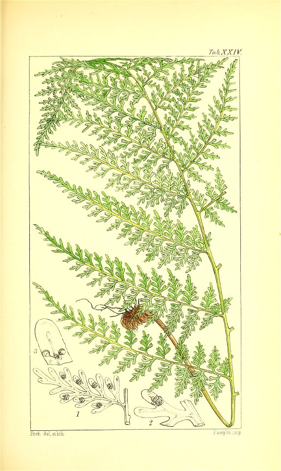 n112_w1150