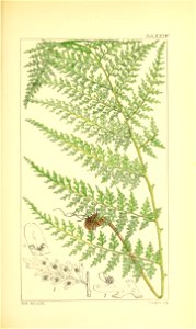 n112_w1150