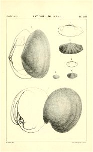 n532_w1150