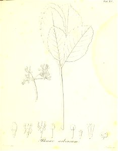 n68_w1150