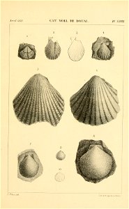 n502_w1150