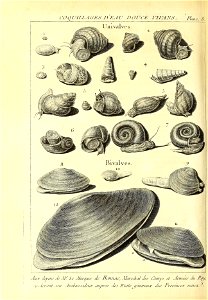 n555_w1150