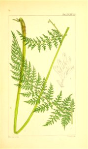 n168_w1150