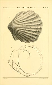 n500_w1150