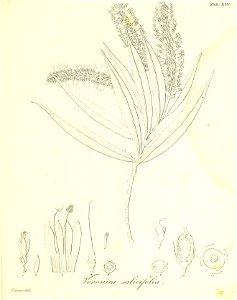 n66_w1150