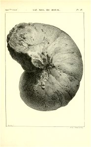 n410_w1150