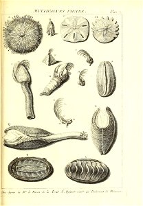 n542_w1150