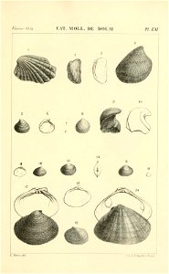 n528_w1150