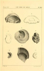n498_w1150