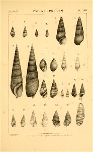 n468_w1150