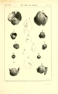 n408_w1150