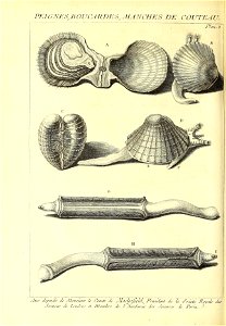 n533_w1150