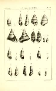 n438_w1150