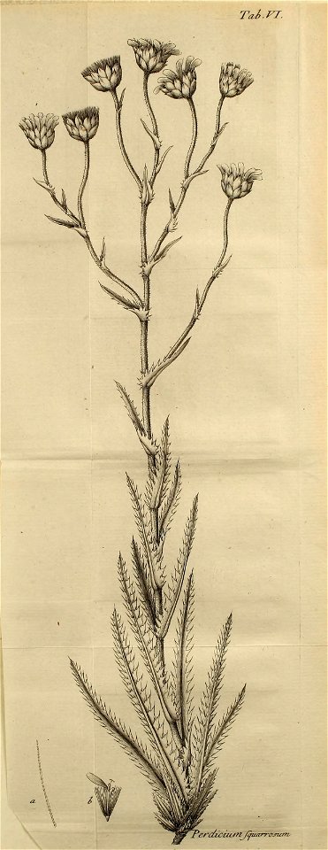n504_w1150