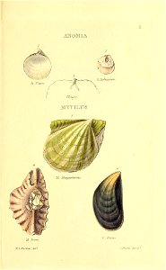 n288_w1150