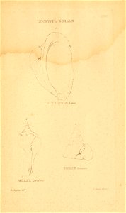 n318_w1150