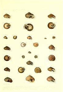 n94_w1150