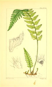 n406_w1150