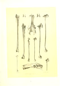 n174_w1150