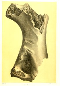 n220_w1150