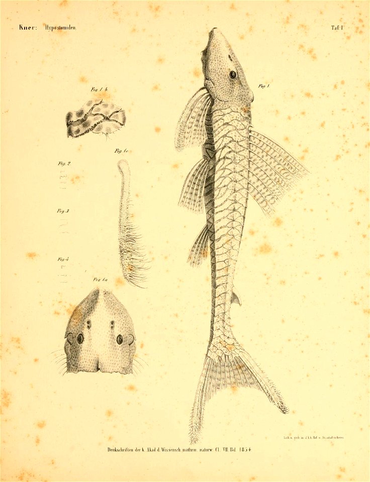 n40_w1150