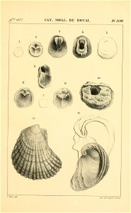 n492_w1150