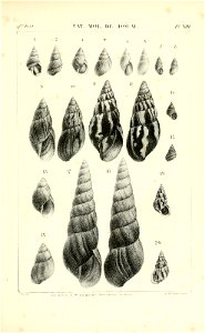n432_w1150